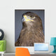 Golden Eagle Wall Mural