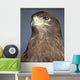 Golden Eagle Wall Mural