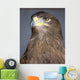 Golden Eagle Wall Mural
