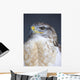 Ferruginous Hawk Wall Mural
