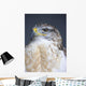 Ferruginous Hawk Wall Mural