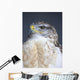Ferruginous Hawk Wall Mural