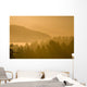 Mount Hood, Oregon, Usa Wall Mural