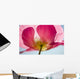 Pink Shirley Poppy Wall Mural