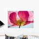 Pink Shirley Poppy Wall Mural