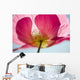Pink Shirley Poppy Wall Mural