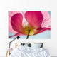 Pink Shirley Poppy Wall Mural