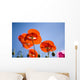 Shirley Poppies Wall Mural