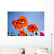 Shirley Poppies Wall Mural