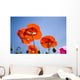 Shirley Poppies Wall Mural