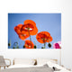 Shirley Poppies Wall Mural