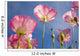 Shirley Poppies Wall Mural