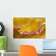 Dew On Flower Petals Wall Mural