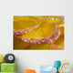 Dew On Flower Petals Wall Mural
