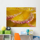 Dew On Flower Petals Wall Mural