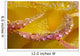 Dew On Flower Petals Wall Mural