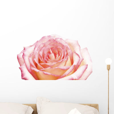 Rose Wall Decal shown on a wall