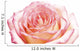 Rose Wall Decal
