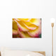 Dew Drops On A Rose Wall Mural