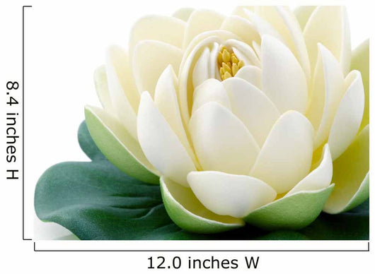 Lotus blossom Wall Decal