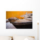 Flowers On Top Of Wooden Canoe Wall Mural