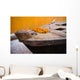 Flowers On Top Of Wooden Canoe Wall Mural