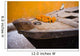Flowers On Top Of Wooden Canoe Wall Mural