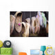 Shoes On Display Wall Mural