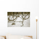 Bicycle Shadow Wall Mural