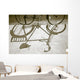 Bicycle Shadow Wall Mural
