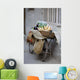Bicycle Loaded With Food, Delhi, India Wall Mural