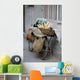 Bicycle Loaded With Food, Delhi, India Wall Mural