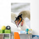 Swans Wall Mural