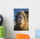 Bactrian Camel Wall Mural