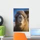 Bactrian Camel Wall Mural