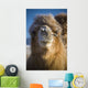 Bactrian Camel Wall Mural