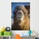 Bactrian Camel Wall Mural