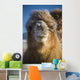 Bactrian Camel Wall Mural