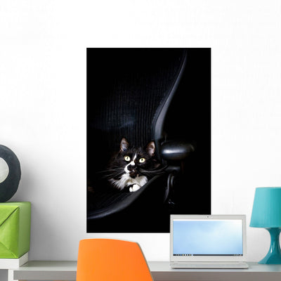 Black Cat Wall Mural shown on a wall