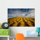 Sahara Desert, Tunisia, Africa Wall Mural