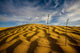 Sahara Desert, Tunisia, Africa Wall Mural