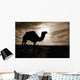 Silhouetted Camel, Sahara Desert, Douz, Tunisia Wall Mural