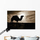 Silhouetted Camel, Sahara Desert, Douz, Tunisia Wall Mural