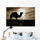 Silhouetted Camel, Sahara Desert, Douz, Tunisia Wall Mural