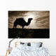 Silhouetted Camel, Sahara Desert, Douz, Tunisia Wall Mural