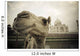 Camel In Front Of The Yamuna River And Taj Mahal Wall Mural