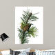 Pine