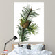 Pine