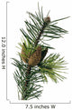 Pine