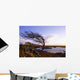 Connemara, Co Galway, Ireland Wall Mural